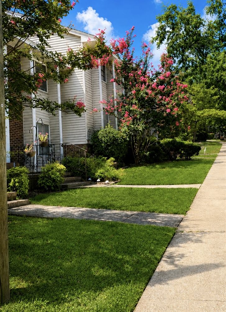 A walkway at Winding Creek passing a home, with a crepe myrtle in full pink bloom and mown lawn on either side.